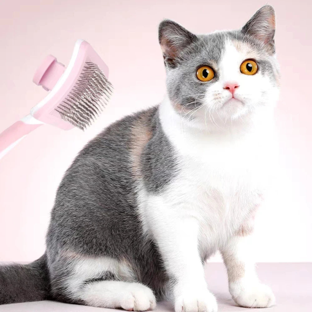 Self-Cleaning Pet Grooming Brush